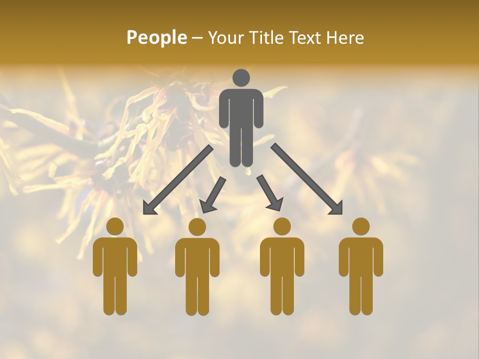 Season Asia China PowerPoint Template