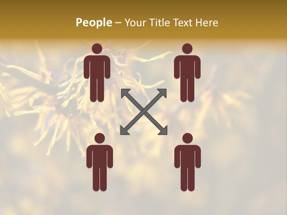 Season Asia China PowerPoint Template