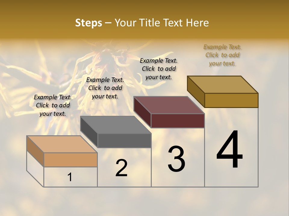 Season Asia China PowerPoint Template