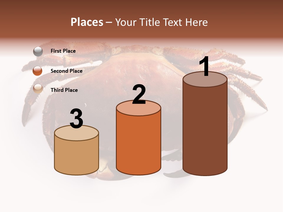 Life Isolated Background PowerPoint Template