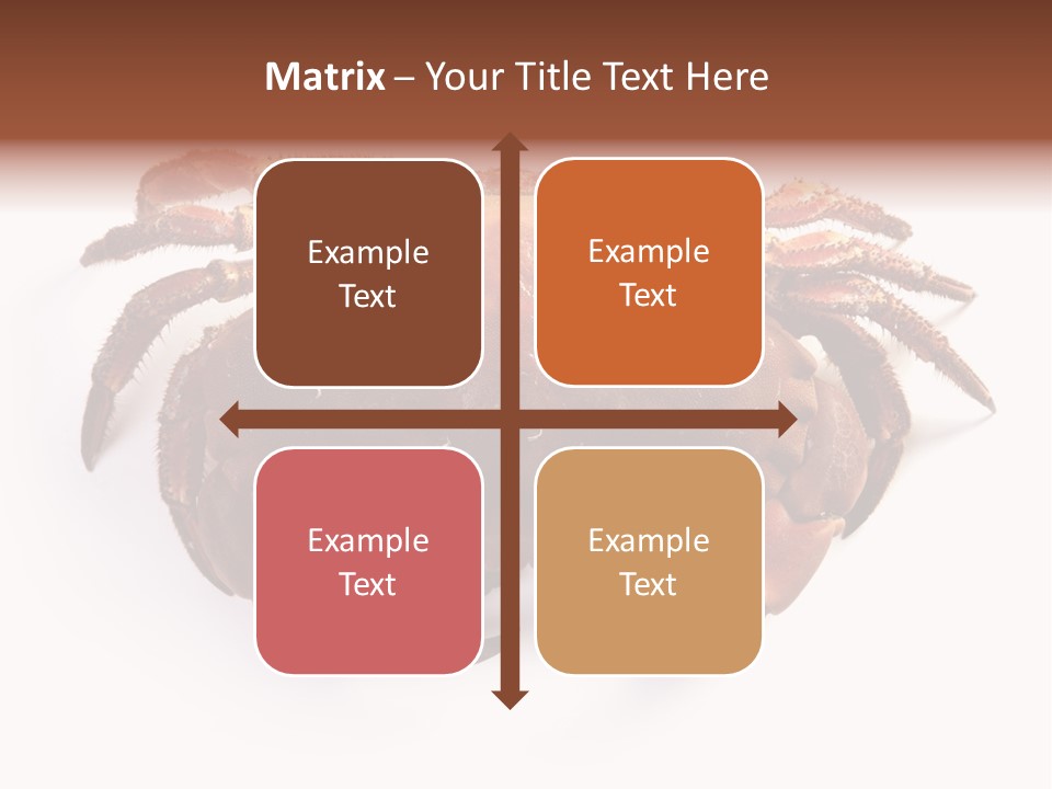 Life Isolated Background PowerPoint Template