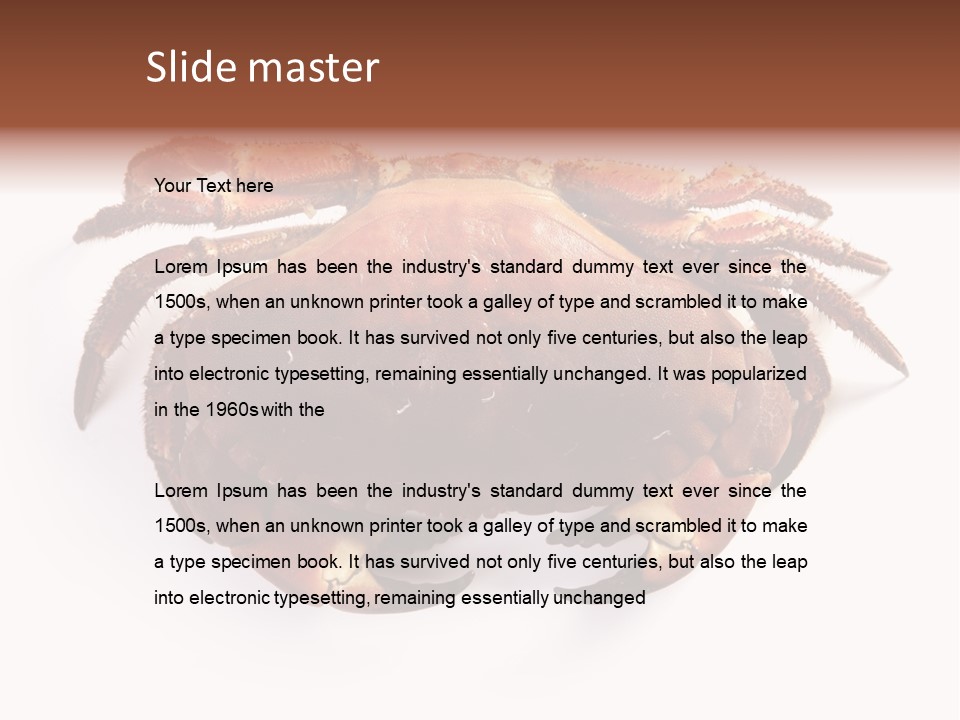 Life Isolated Background PowerPoint Template