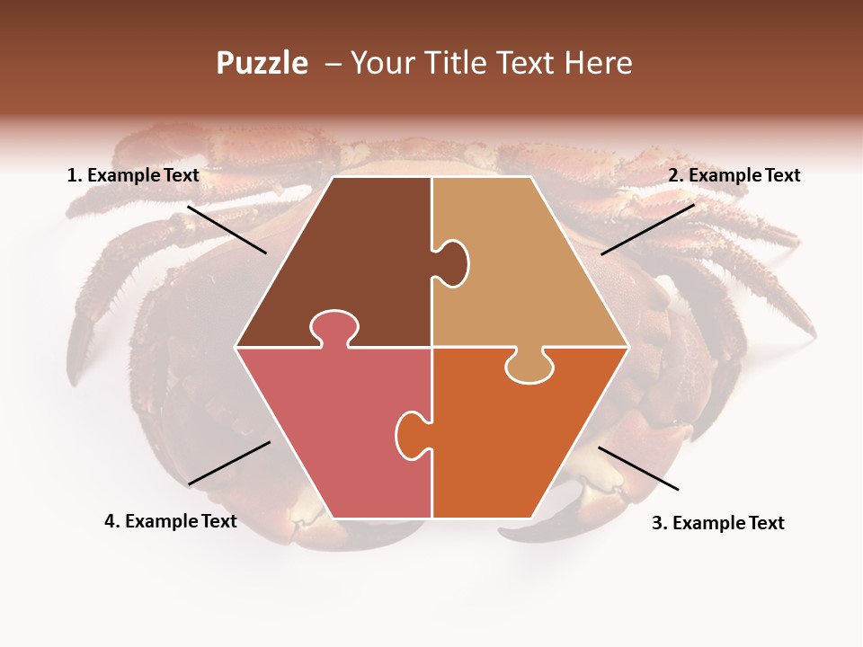 Life Isolated Background PowerPoint Template