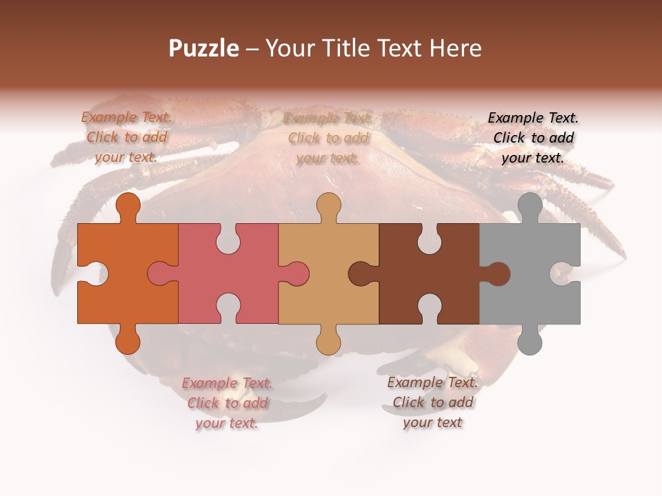 Life Isolated Background PowerPoint Template