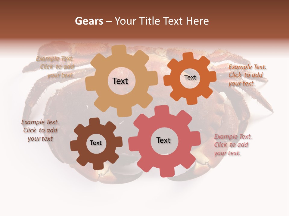 Life Isolated Background PowerPoint Template