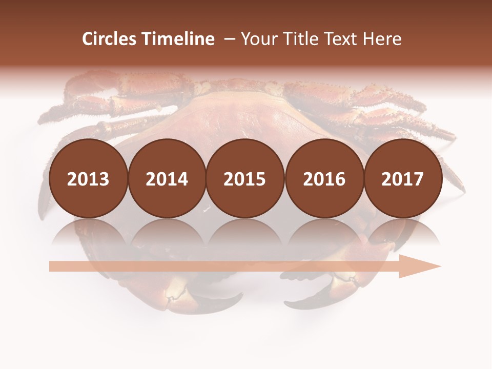 Life Isolated Background PowerPoint Template