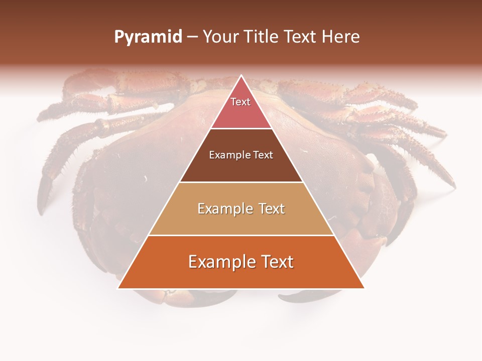 Life Isolated Background PowerPoint Template