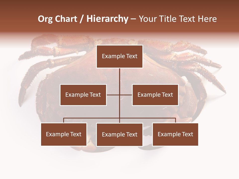 Life Isolated Background PowerPoint Template