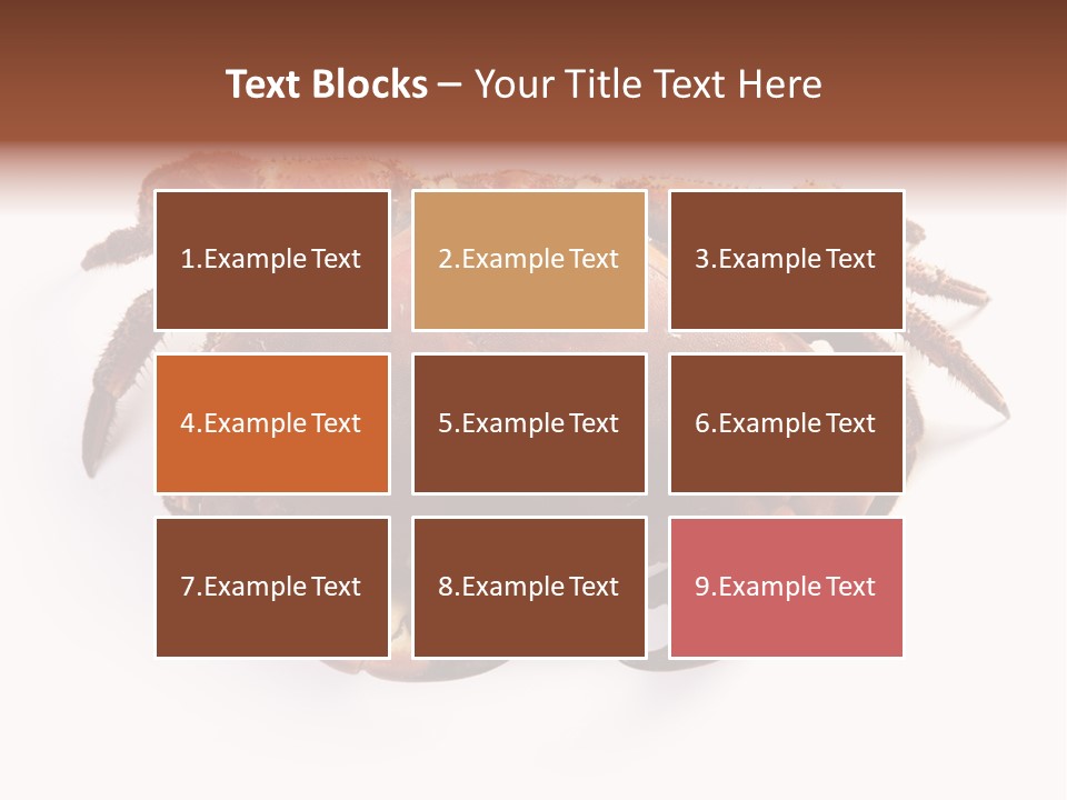 Life Isolated Background PowerPoint Template