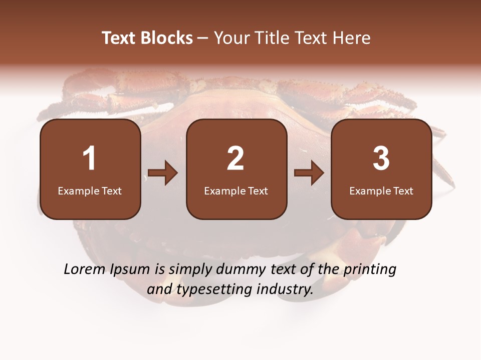 Life Isolated Background PowerPoint Template
