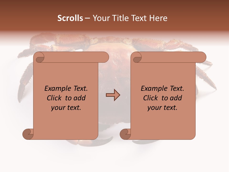 Life Isolated Background PowerPoint Template