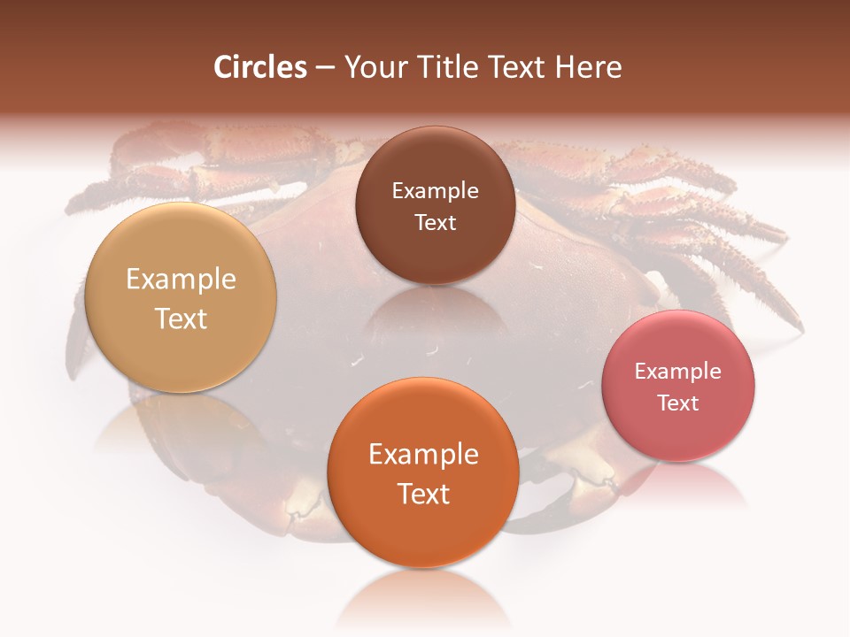 Life Isolated Background PowerPoint Template