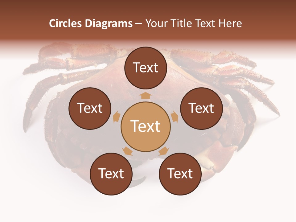 Life Isolated Background PowerPoint Template