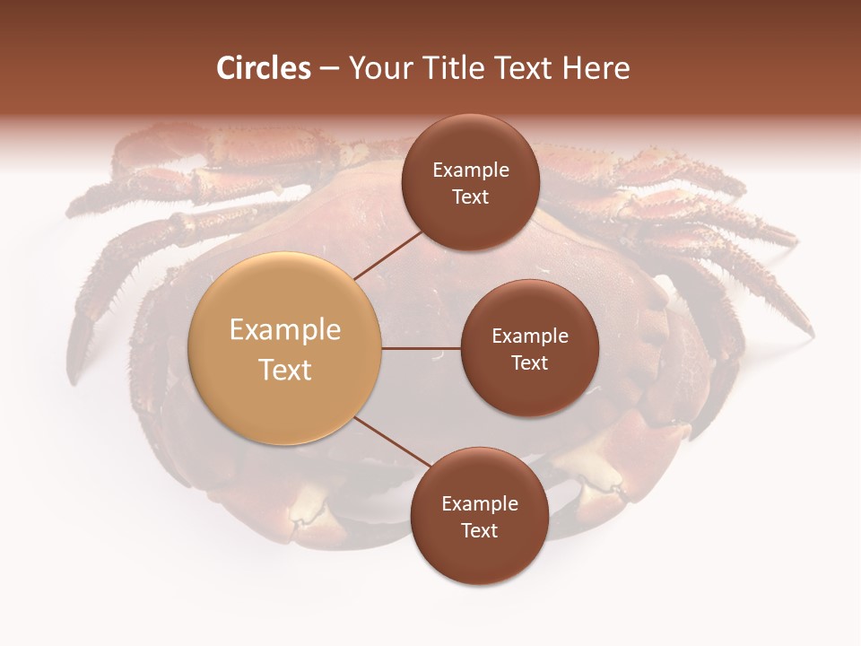 Life Isolated Background PowerPoint Template