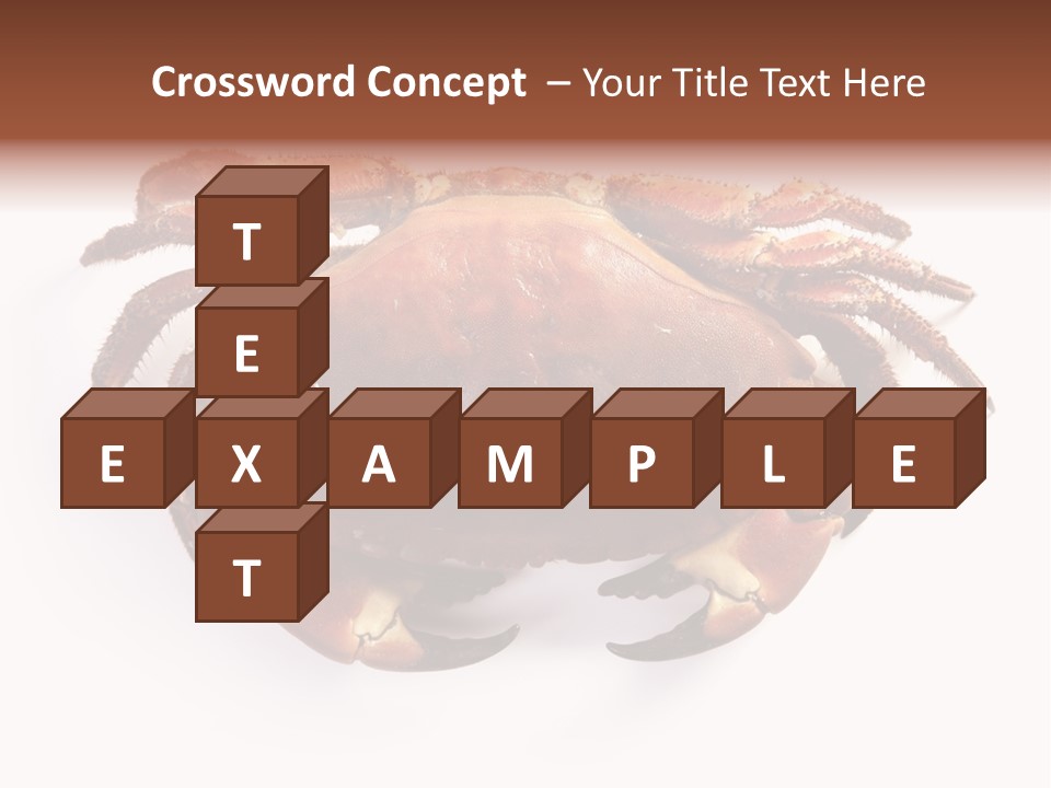 Life Isolated Background PowerPoint Template