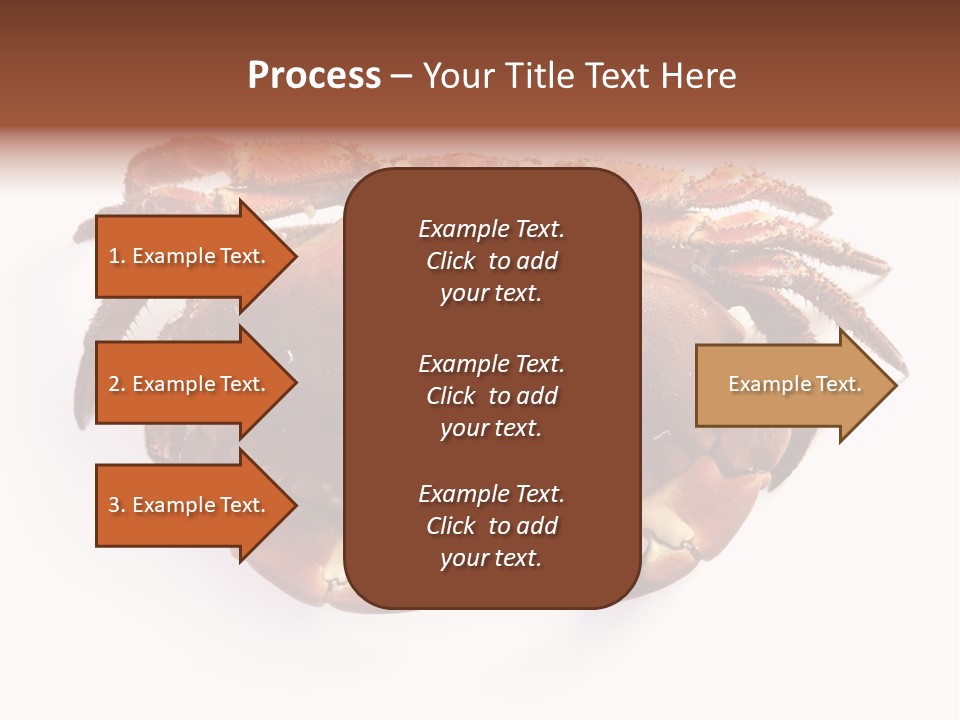 Life Isolated Background PowerPoint Template