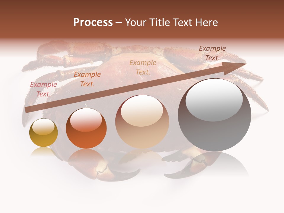 Life Isolated Background PowerPoint Template