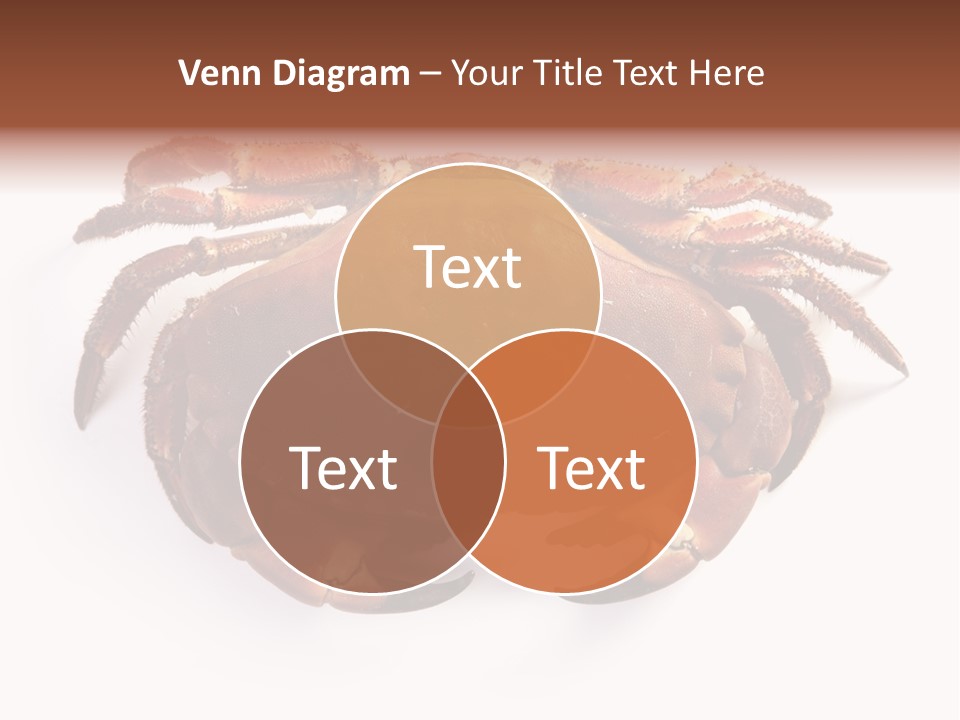 Life Isolated Background PowerPoint Template