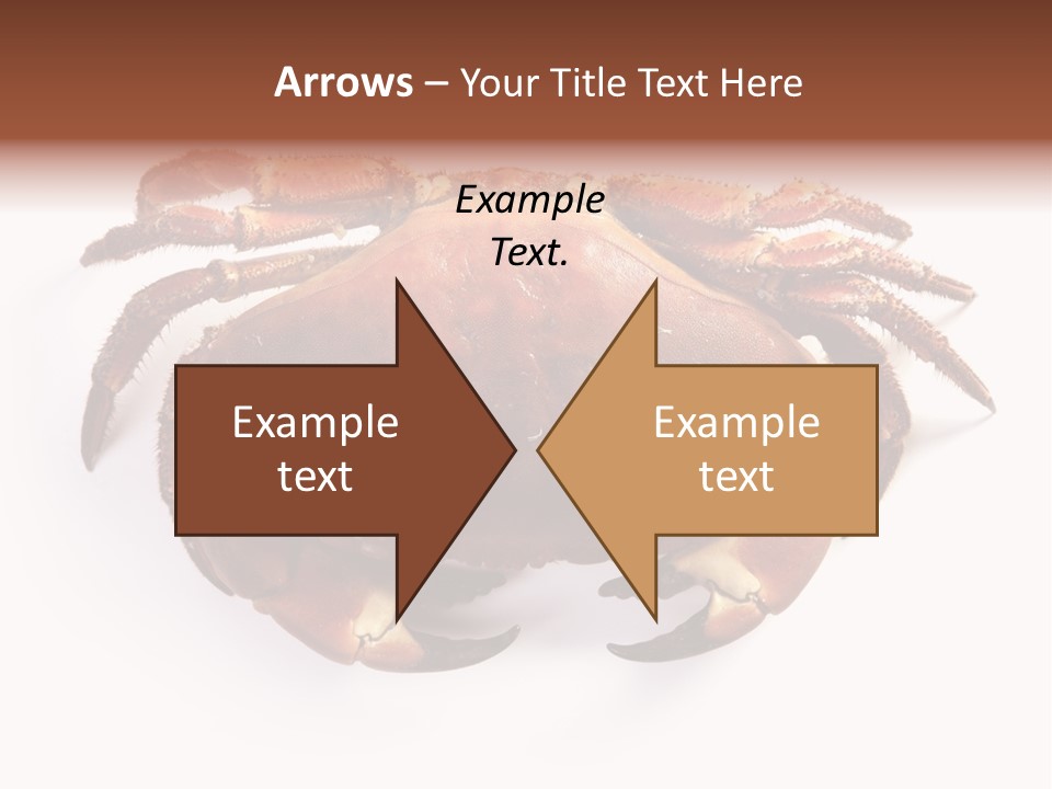 Life Isolated Background PowerPoint Template