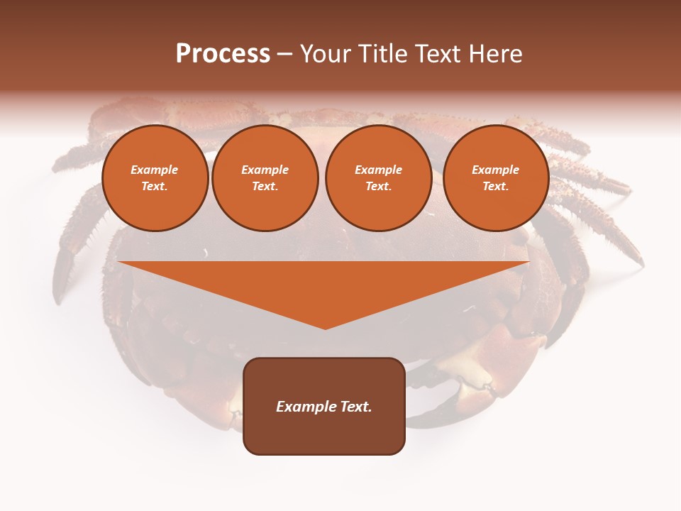 Life Isolated Background PowerPoint Template