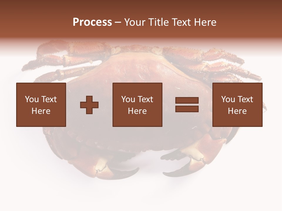 Life Isolated Background PowerPoint Template