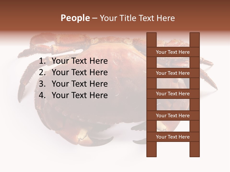 Life Isolated Background PowerPoint Template