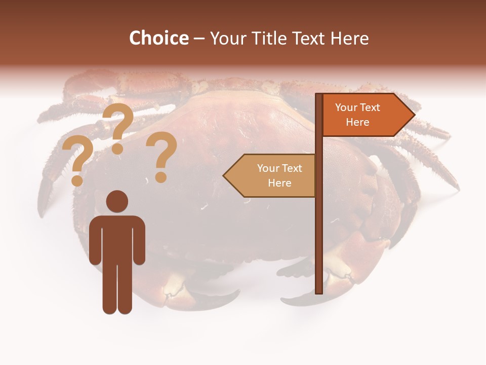 Life Isolated Background PowerPoint Template