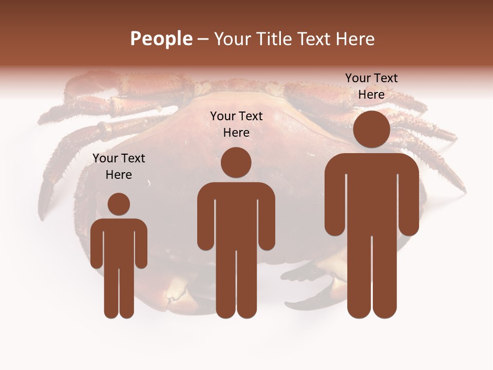 Life Isolated Background PowerPoint Template