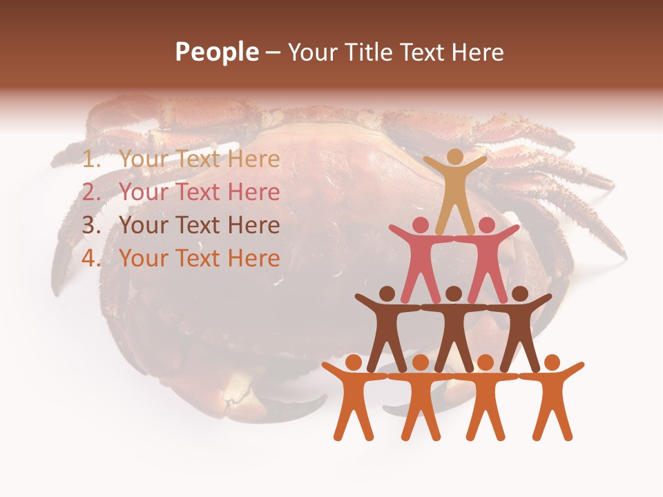 Life Isolated Background PowerPoint Template