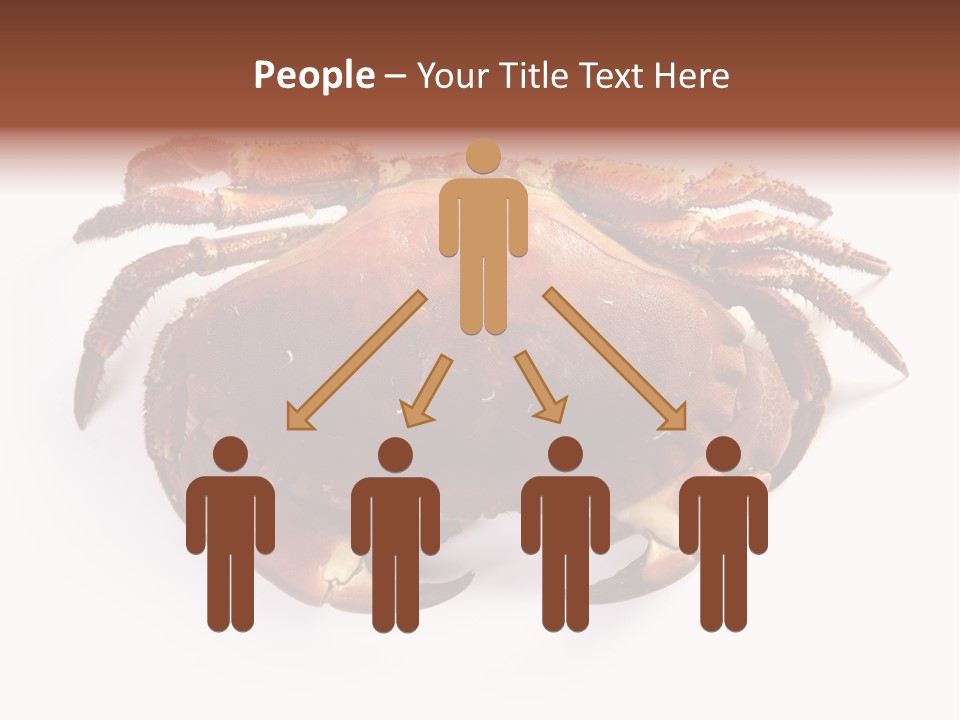 Life Isolated Background PowerPoint Template