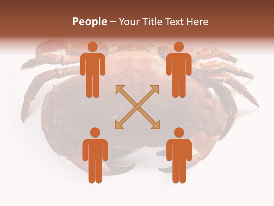 Life Isolated Background PowerPoint Template