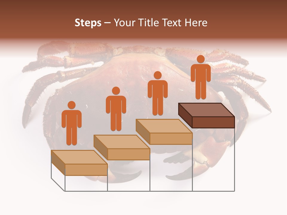 Life Isolated Background PowerPoint Template