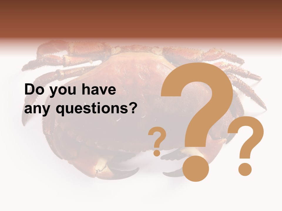 Life Isolated Background PowerPoint Template