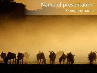 Taurinus Red Silhouette PowerPoint Template