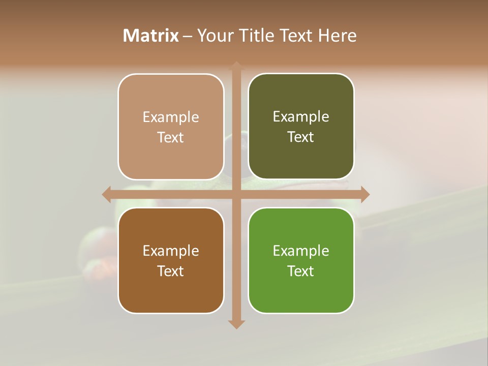 Closeup Moreletii Ecofriendly PowerPoint Template