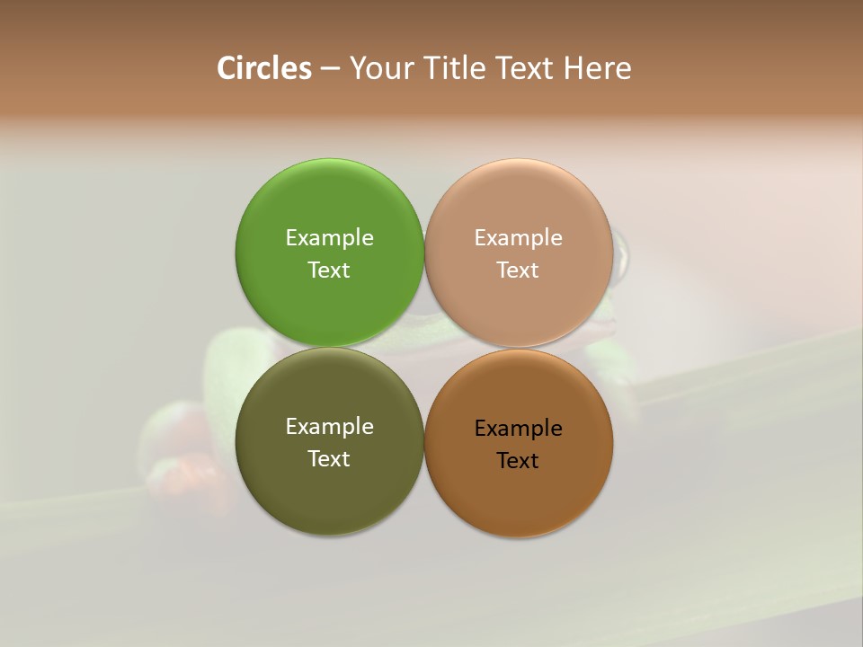 Closeup Moreletii Ecofriendly PowerPoint Template