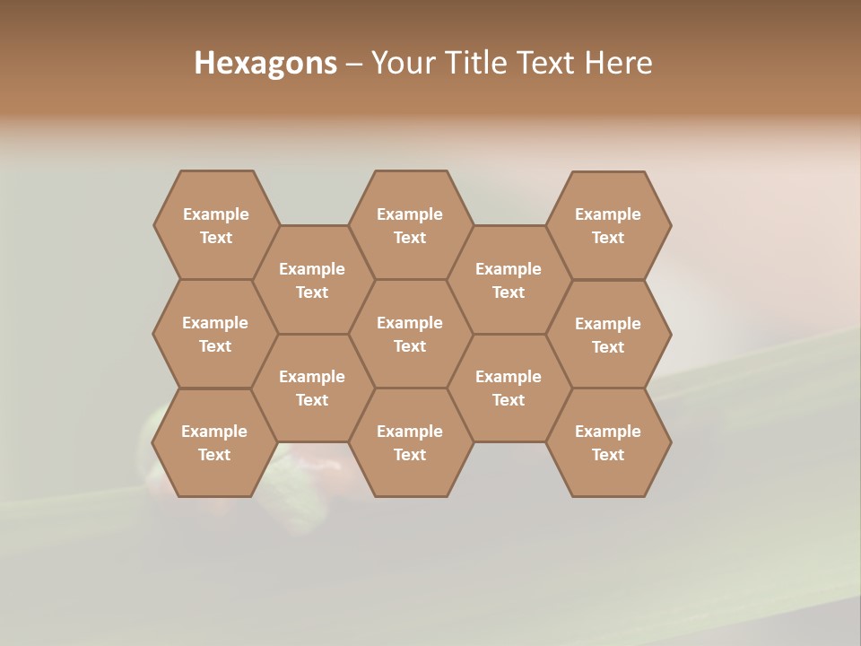 Closeup Moreletii Ecofriendly PowerPoint Template