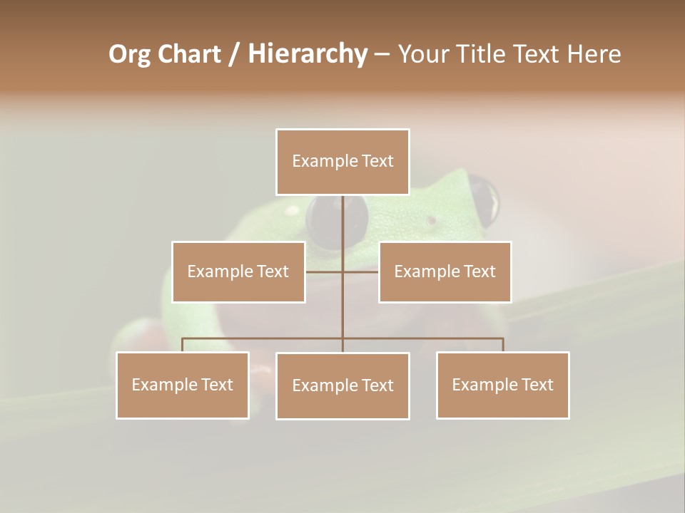 Closeup Moreletii Ecofriendly PowerPoint Template