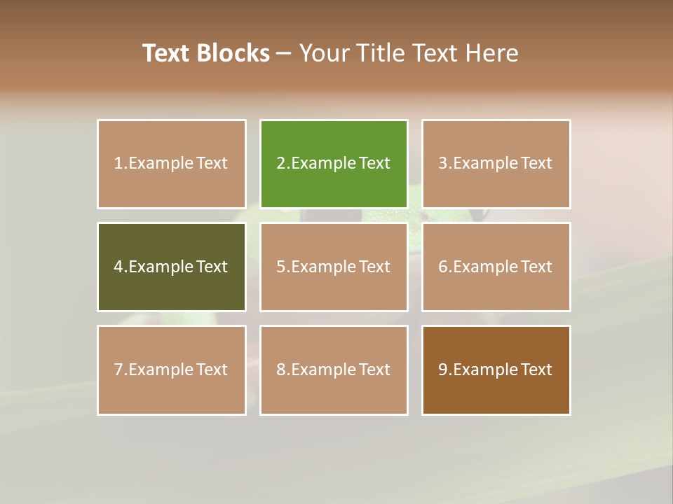 Closeup Moreletii Ecofriendly PowerPoint Template