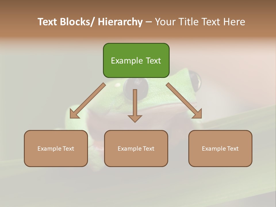Closeup Moreletii Ecofriendly PowerPoint Template