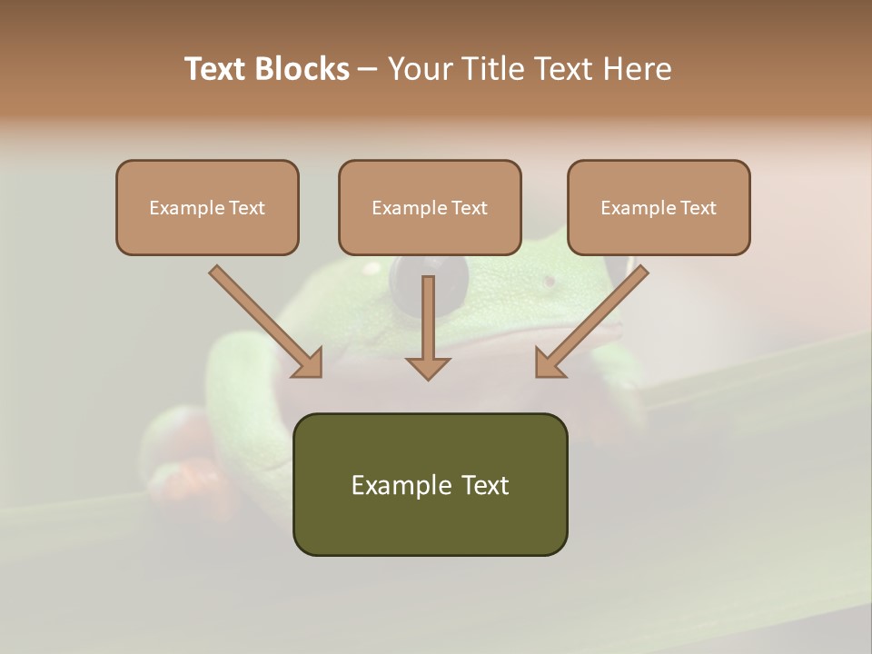 Closeup Moreletii Ecofriendly PowerPoint Template