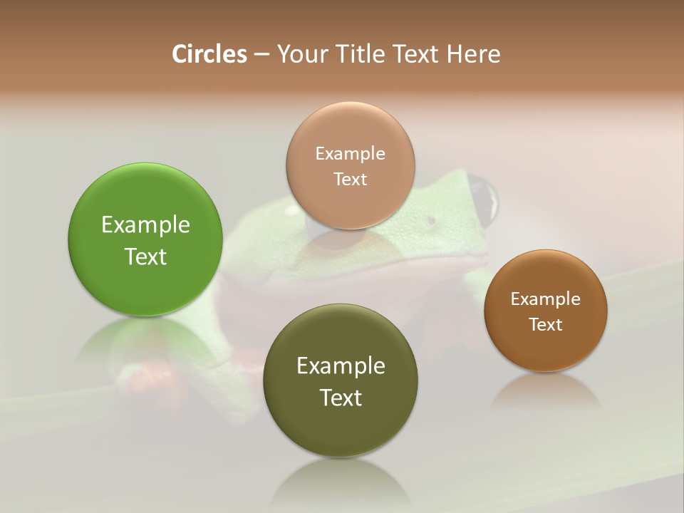 Closeup Moreletii Ecofriendly PowerPoint Template