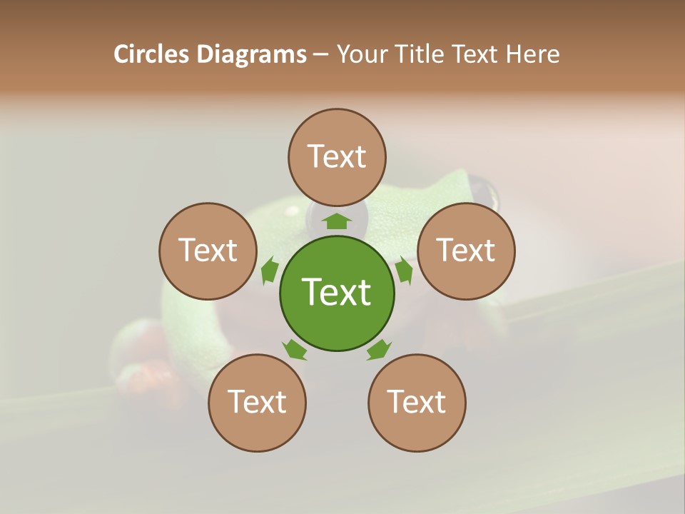 Closeup Moreletii Ecofriendly PowerPoint Template