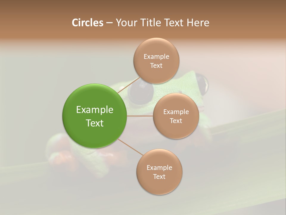 Closeup Moreletii Ecofriendly PowerPoint Template