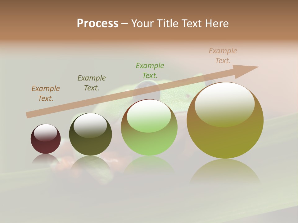 Closeup Moreletii Ecofriendly PowerPoint Template