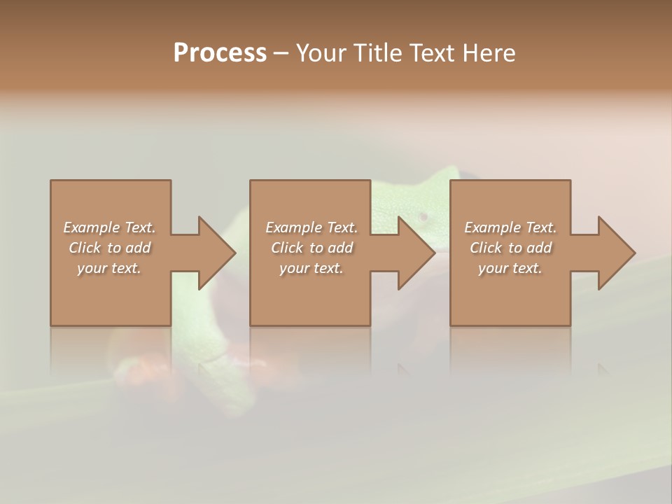 Closeup Moreletii Ecofriendly PowerPoint Template