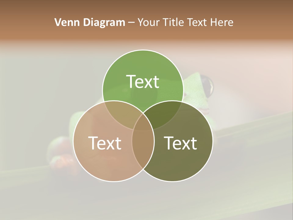 Closeup Moreletii Ecofriendly PowerPoint Template