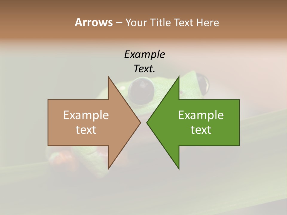 Closeup Moreletii Ecofriendly PowerPoint Template