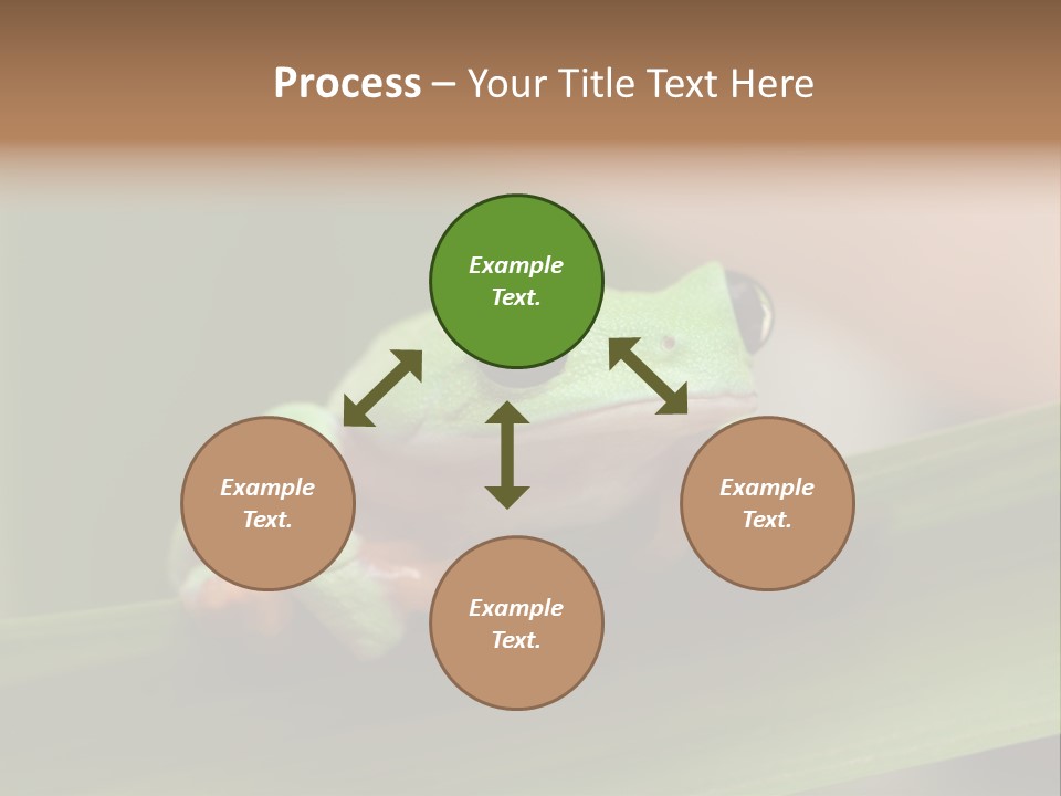 Closeup Moreletii Ecofriendly PowerPoint Template