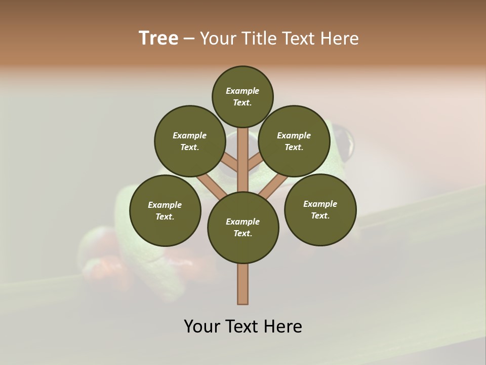 Closeup Moreletii Ecofriendly PowerPoint Template